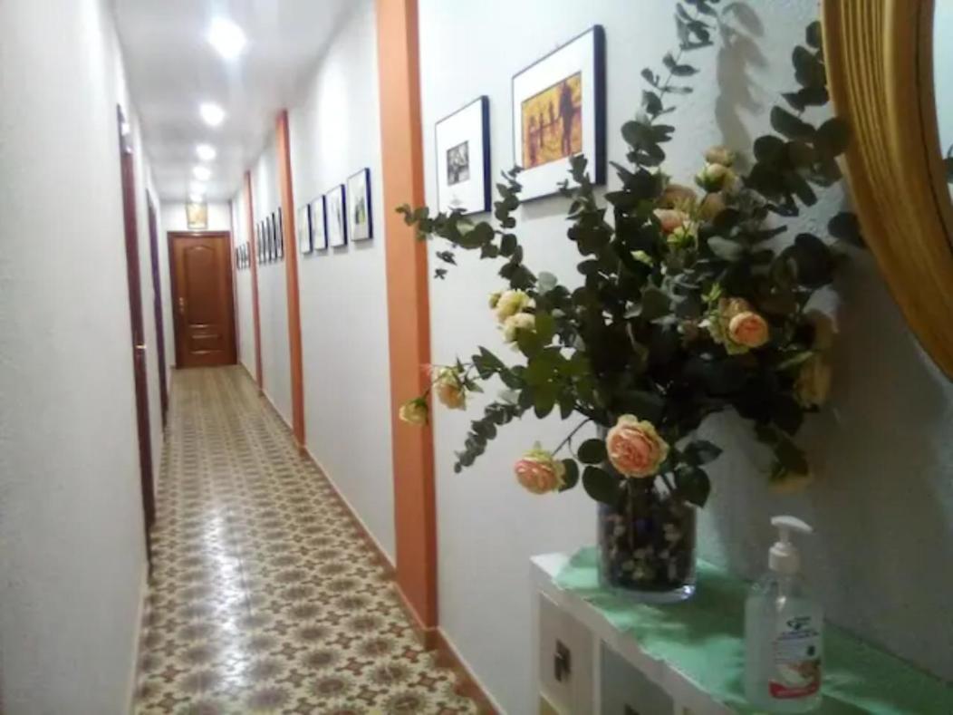 Las Golondrinas Zaragoza Habitacion Individual Zewnętrze zdjęcie